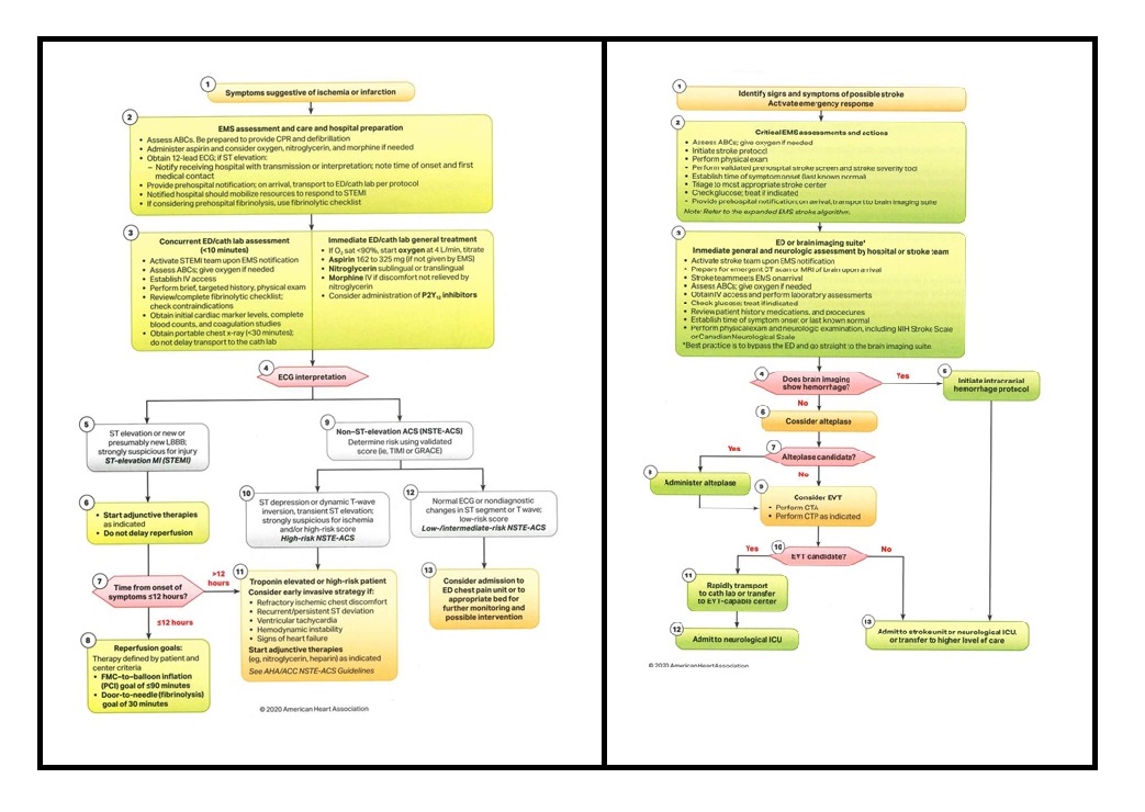 Advanced Cardiac Life Support Review – Part 1 – Medic Minute